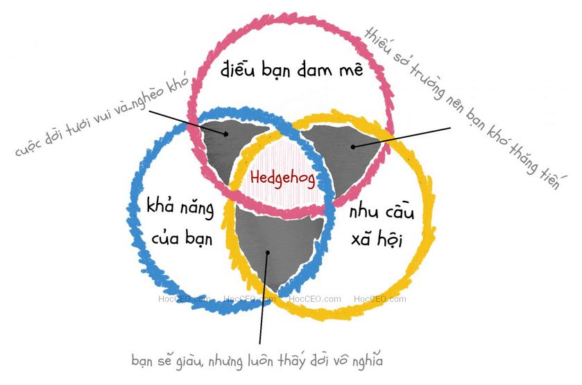 Thuyết con nhím (hedgehog concept)