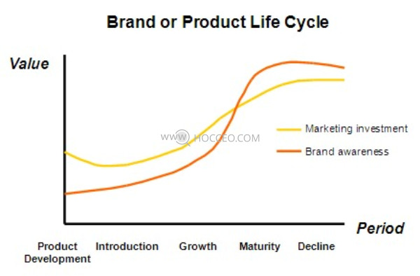 Vòng đời thương hiệu brand lifecycle