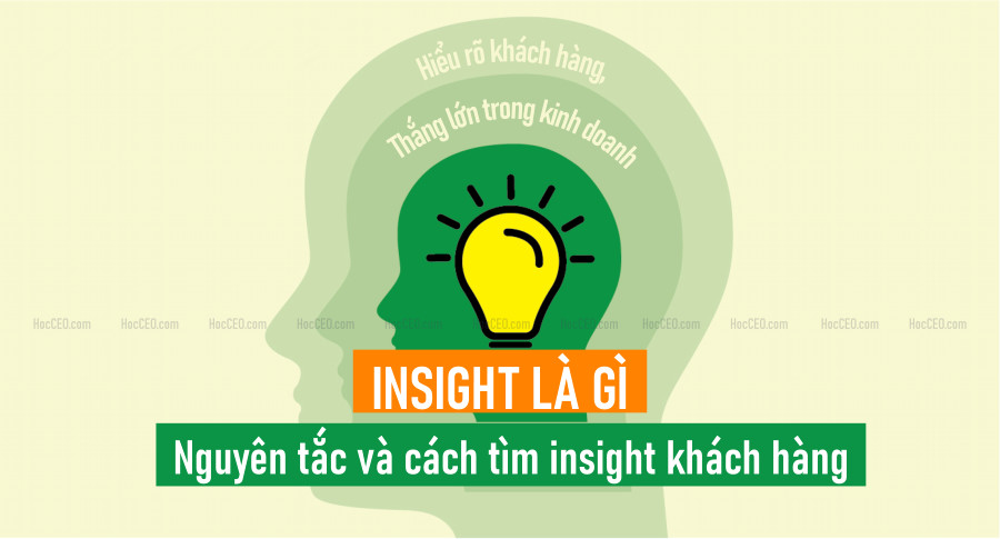Insight là gì? Nguyên tắc và cách tìm insight khách hàng